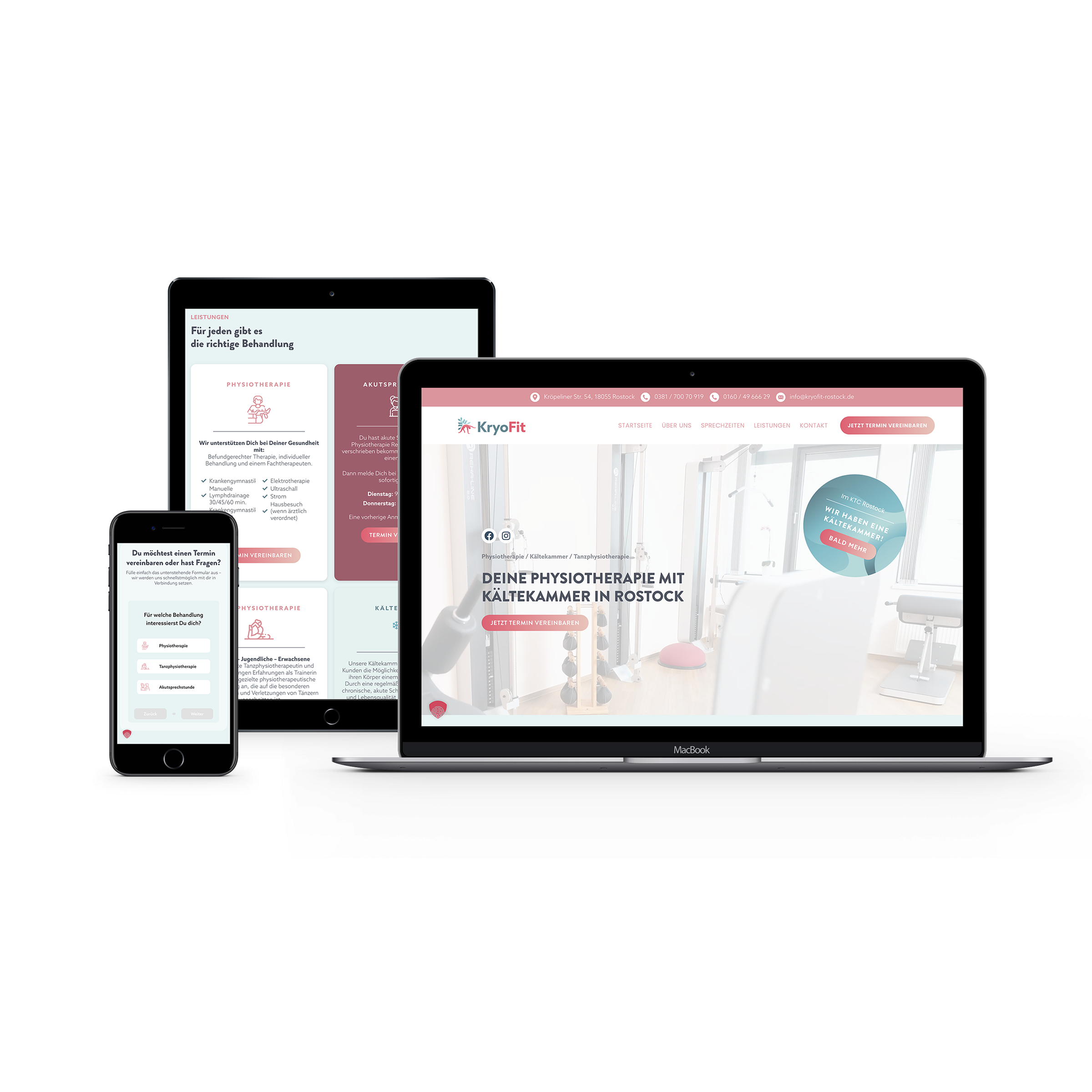 Webdesign für Kryofit
